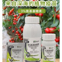 迪巧3%氨基寡糖素促进植物生长杀菌诱导植物抗性防治