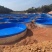 加厚大型户外圆形高密度帆布养鱼池刀刮防水布池铁桶养殖镀