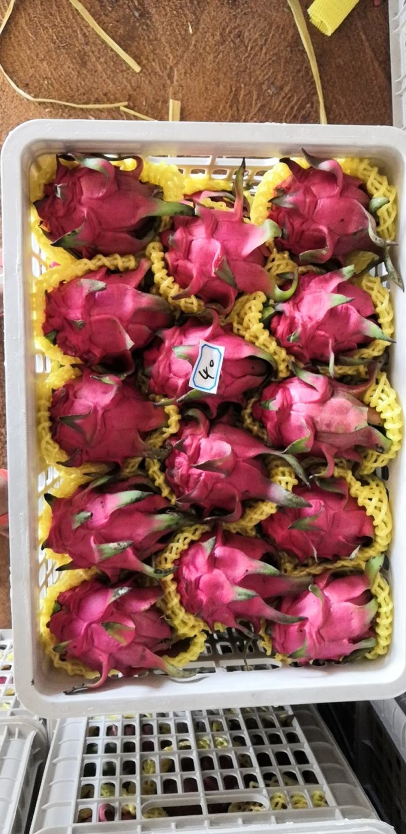 大量有货