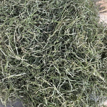 荷叶食用，茶用，出口，切丝，切块，打粉，定制均可