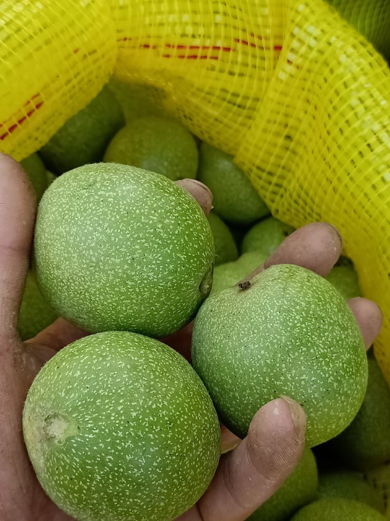 赞皇辽系青皮核桃。个大，皮薄，果肉饱满。全手摘，无黑果。
