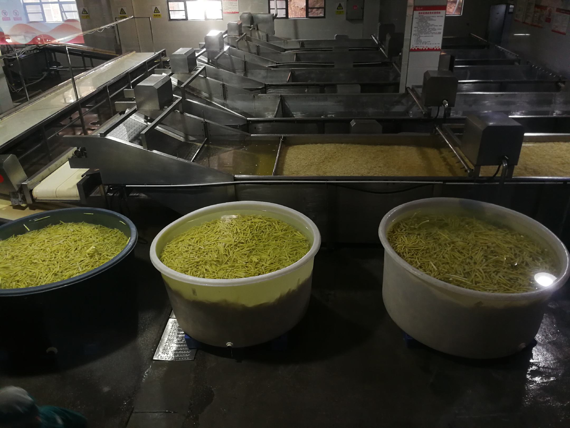 雷笋加工车间内工人分拣新鲜笋材