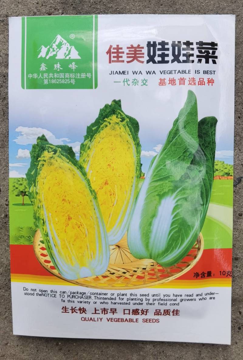 韩国引进黄心娃娃菜种子，高品质早熟生长速度快黄芯口感型