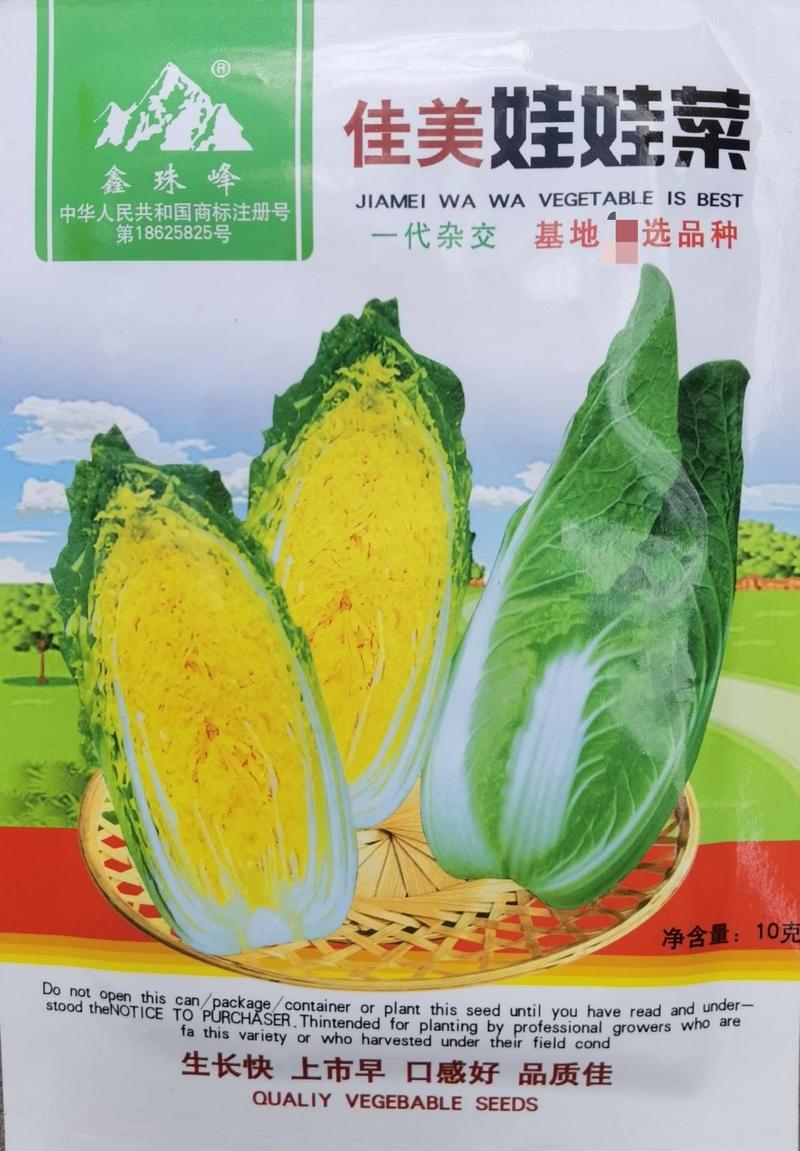 韩国引进黄心娃娃菜种子，高品质早熟生长速度快黄芯口感型