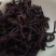 普洱熟茶