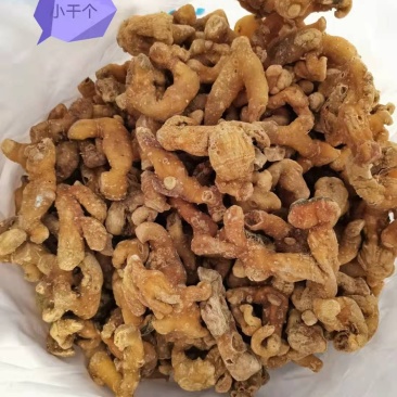 黄精干货