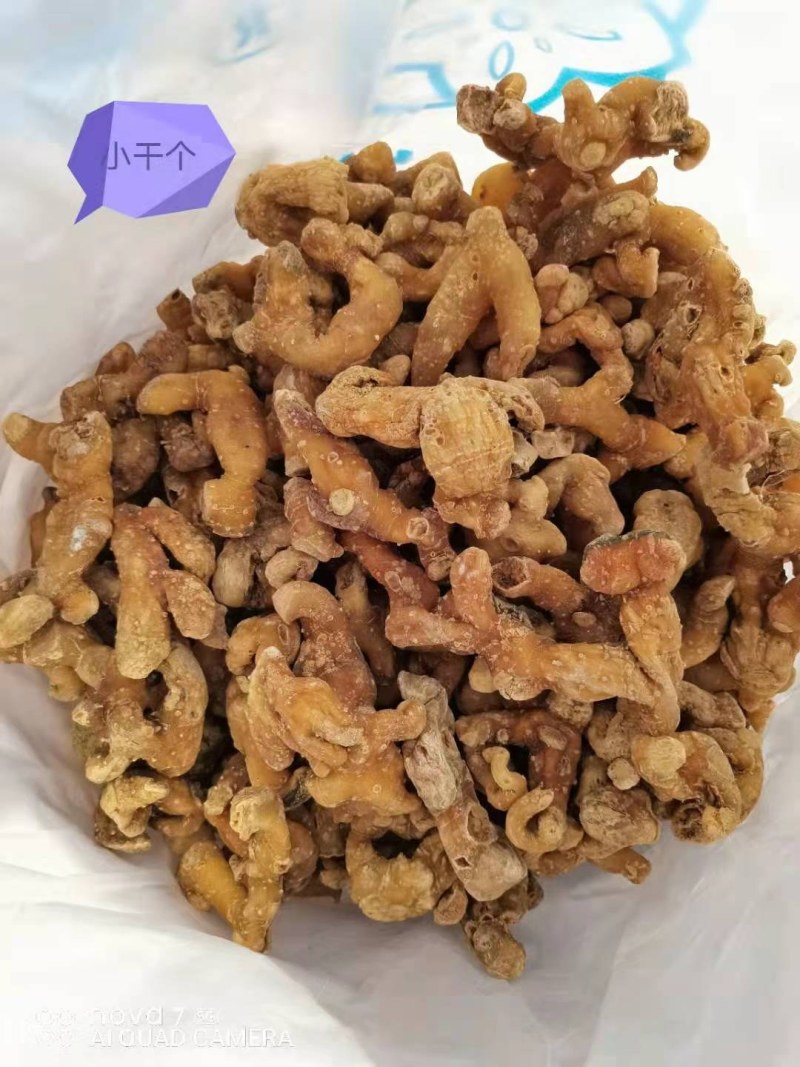 黄精干货