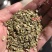 防风种籽新产中药材防风种植种子散装优质关防风种苗春季秋季