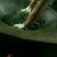 云南普洱茶，202年易武，七村八寨之易比贡茶村，古树春茶