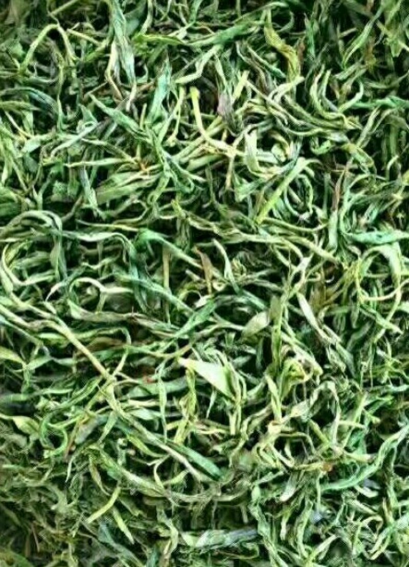 云南普洱茶，202年易武，七村八寨之易比贡茶村，古树春茶