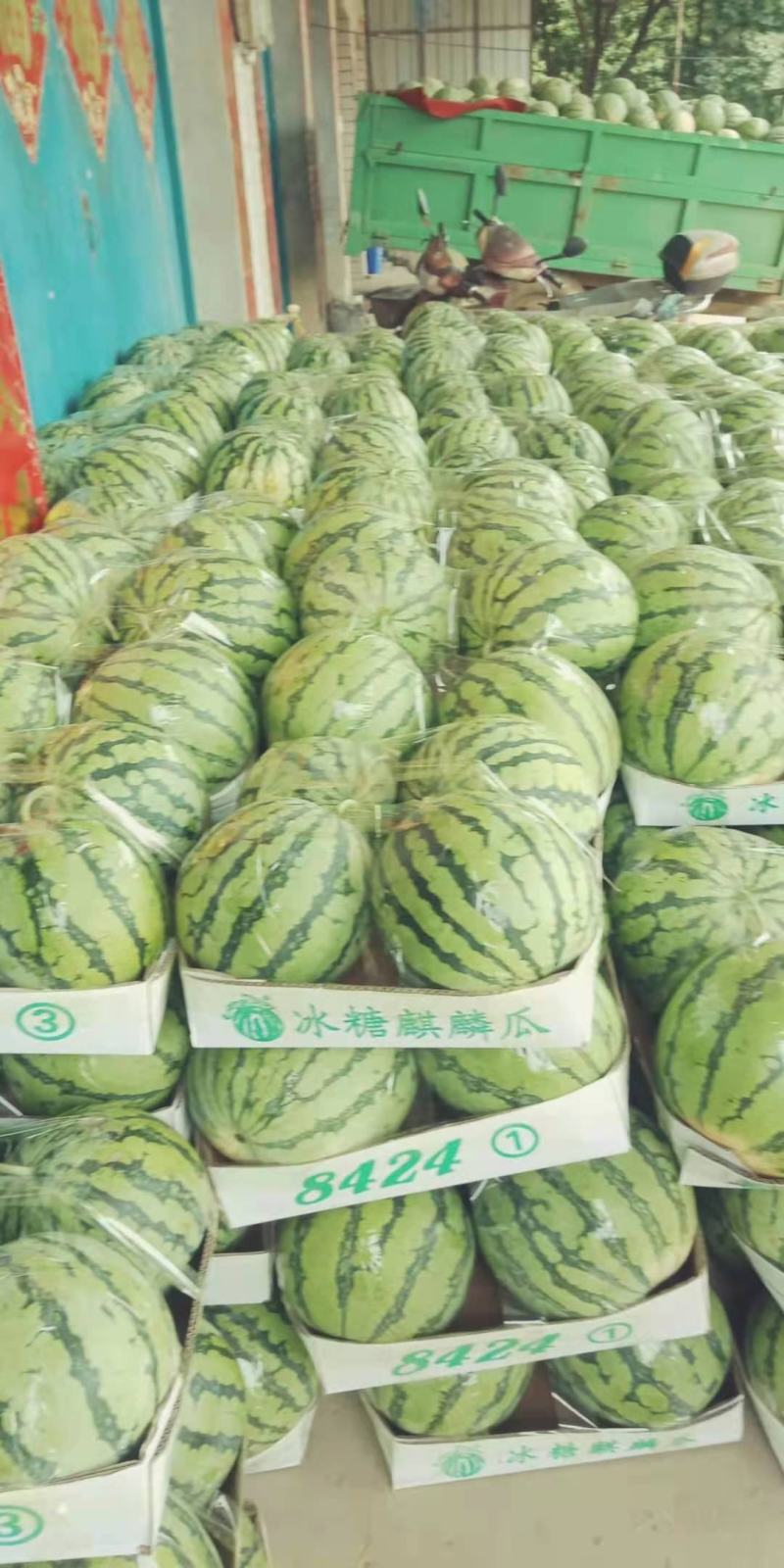 黑美人西瓜