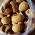 桑黄菌种菌包