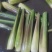 四川精品茭白上车价一块，质量有保证，价格优美，