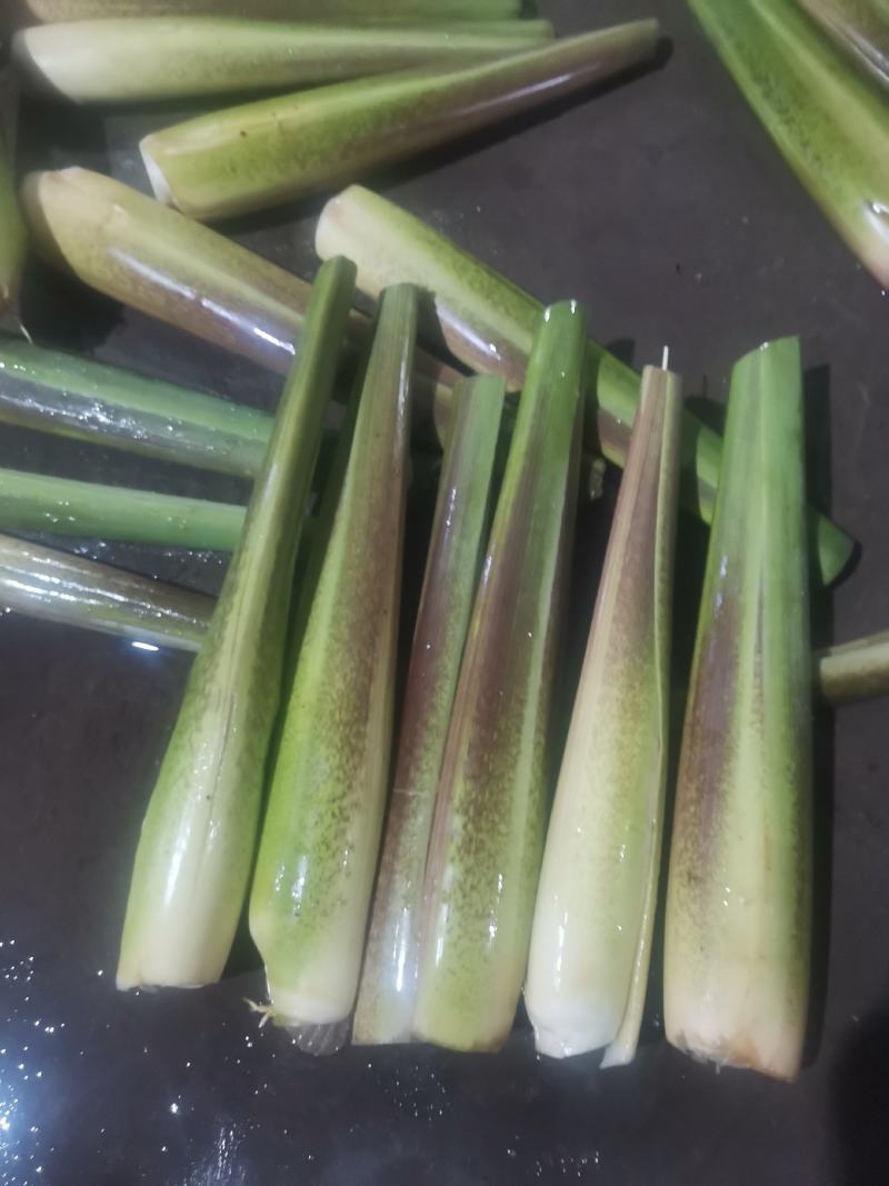 四川精品茭白上车价一块，质量有保证，价格优美，