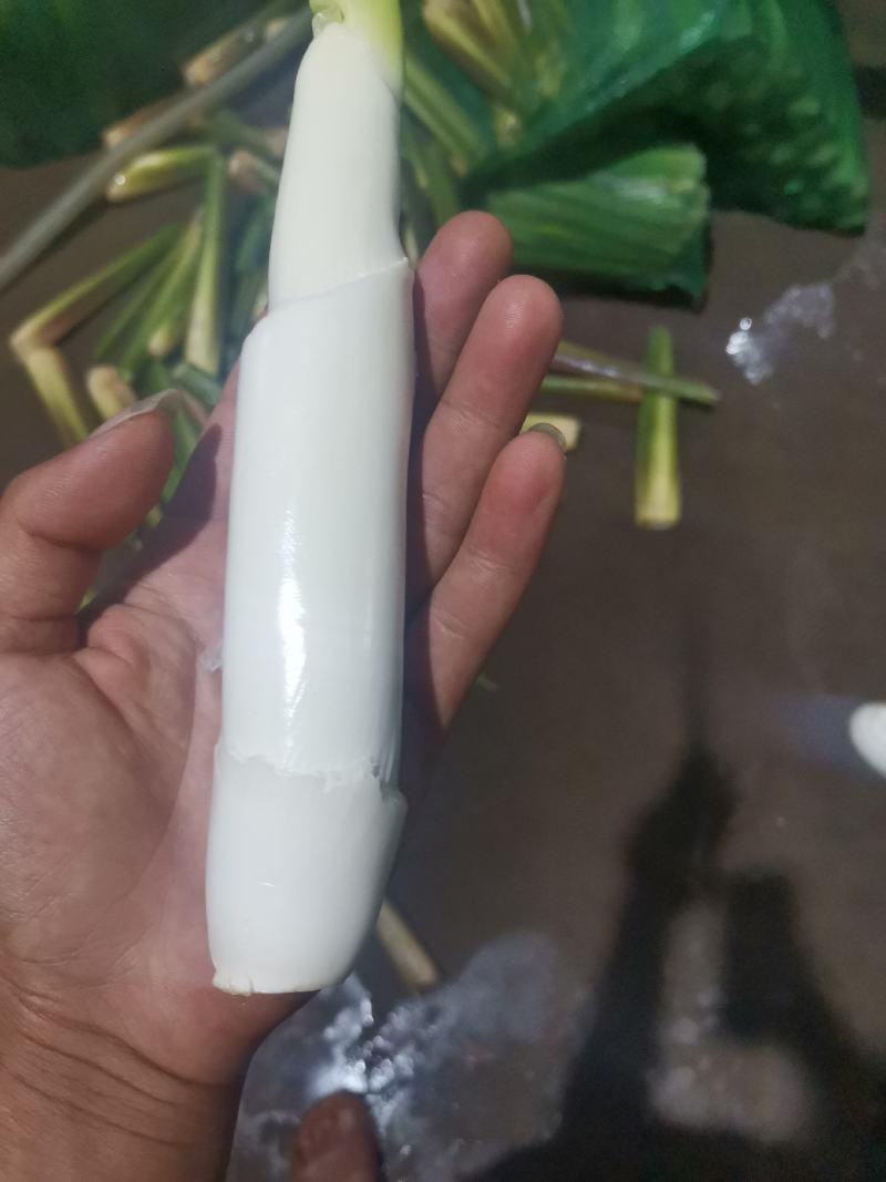 四川精品茭白上车价一块，质量有保证，价格优美，