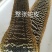 蛇皮。大王蛇皮，眼镜蛇皮，水律蛇皮。乐器专用蛇皮。