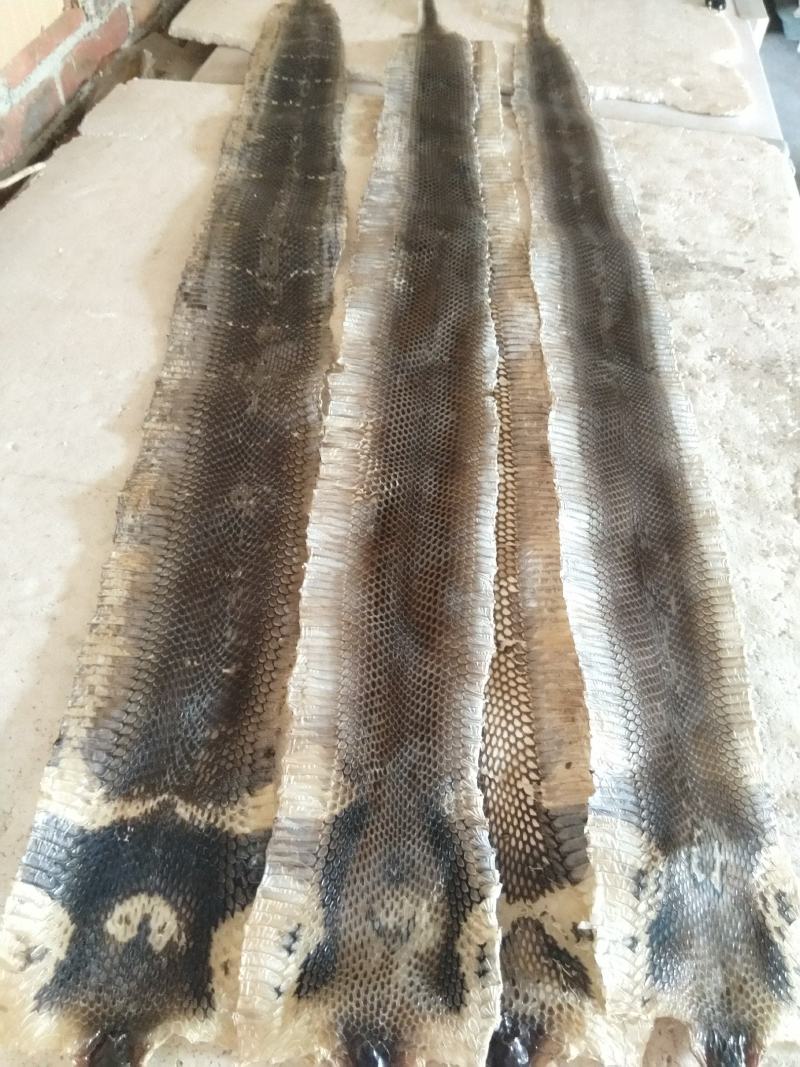 蛇皮。大王蛇皮，眼镜蛇皮，水律蛇皮。乐器专用蛇皮。