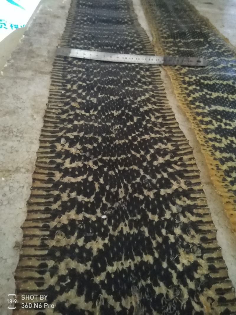 蛇皮。大王蛇皮，眼镜蛇皮，水律蛇皮。乐器专用蛇皮。