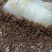 开口虫，黄粉虫，林蛙，石蛙，蝎子饲料！0.5-0.8小虫