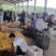 黄毛桃上市中蒙阴黄金蜜1号黄金蜜2金春黄毛桃油桃价格美丽