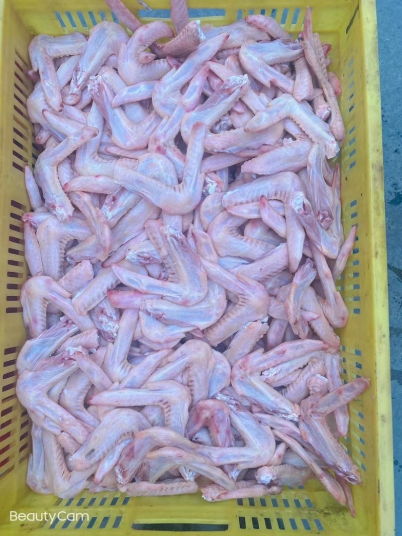 鸭翅鸭翅鸭翅。新鲜的大号鸭翅。厂家直销