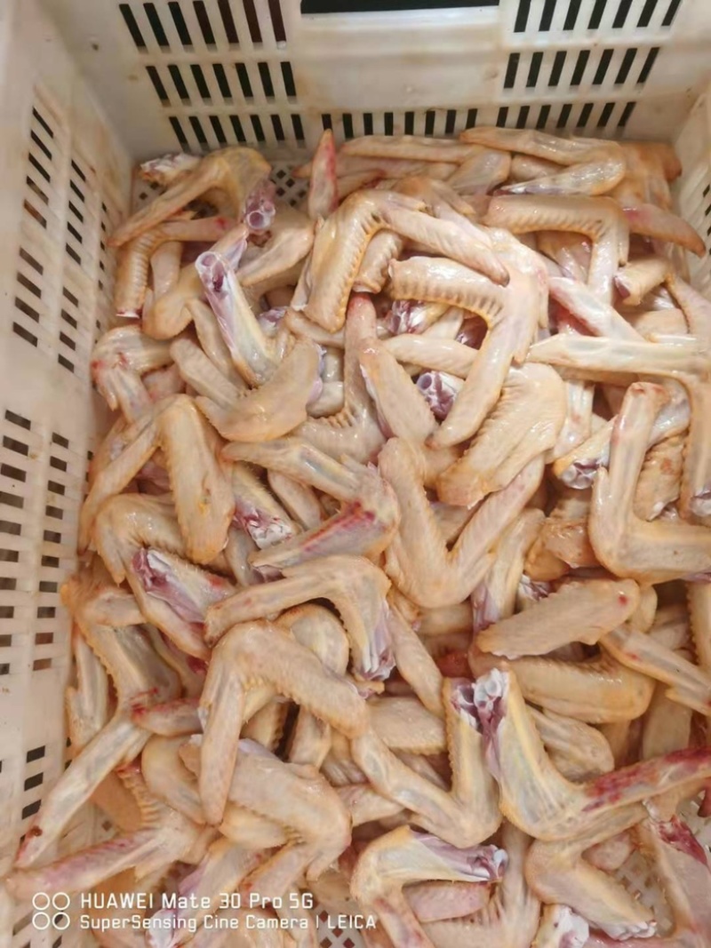 鸭翅鸭翅鸭翅。新鲜的大号鸭翅。厂家直销