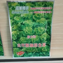 香港高华意大利耐抽苔全年生菜种子