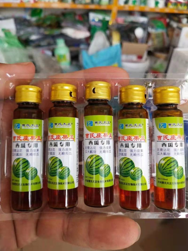 曹氏西瓜专用，座果，无需沾花座果瓜