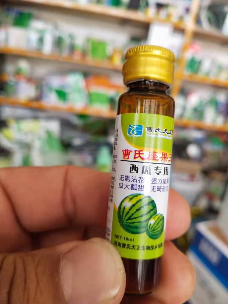 曹氏西瓜专用，座果，无需沾花座果瓜