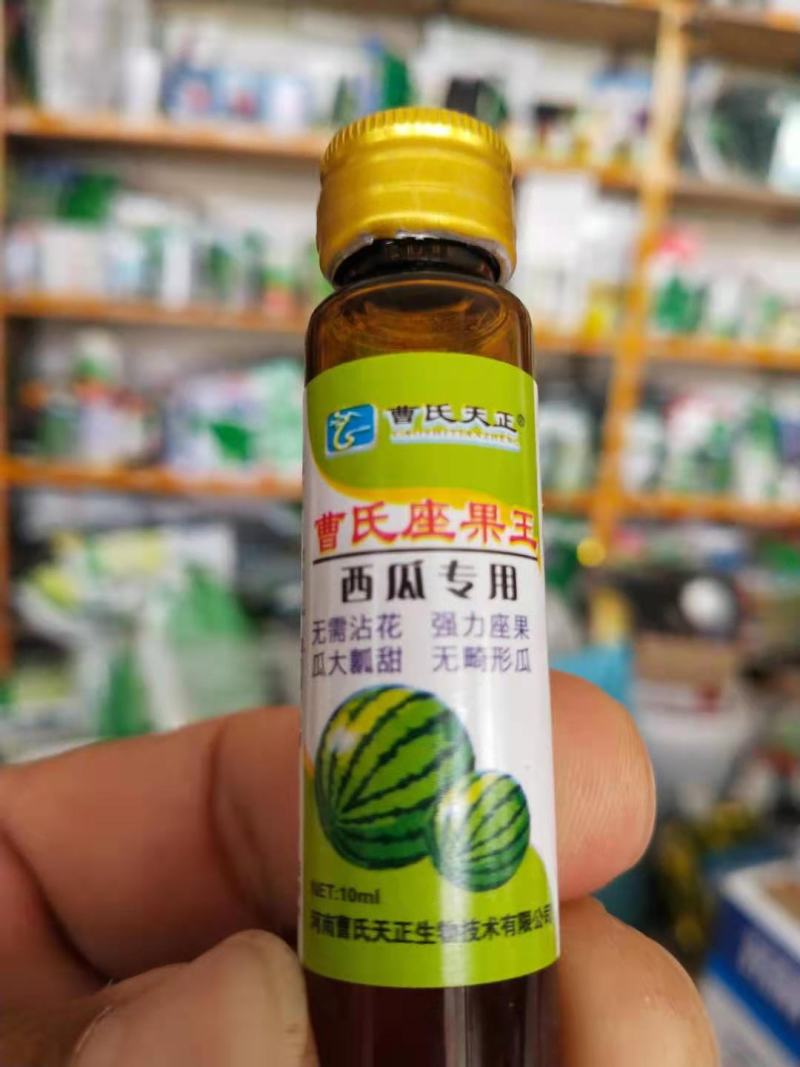 曹氏西瓜专用，座果，无需沾花座果瓜