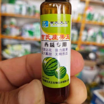曹氏西瓜专用，座果，无需沾花座果瓜