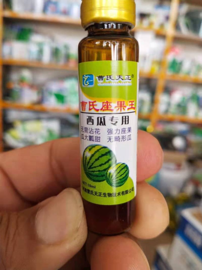 曹氏西瓜专用，座果，无需沾花座果瓜