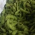 精品速冻豆荚