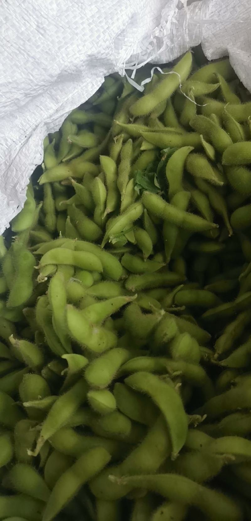 精品速冻豆荚