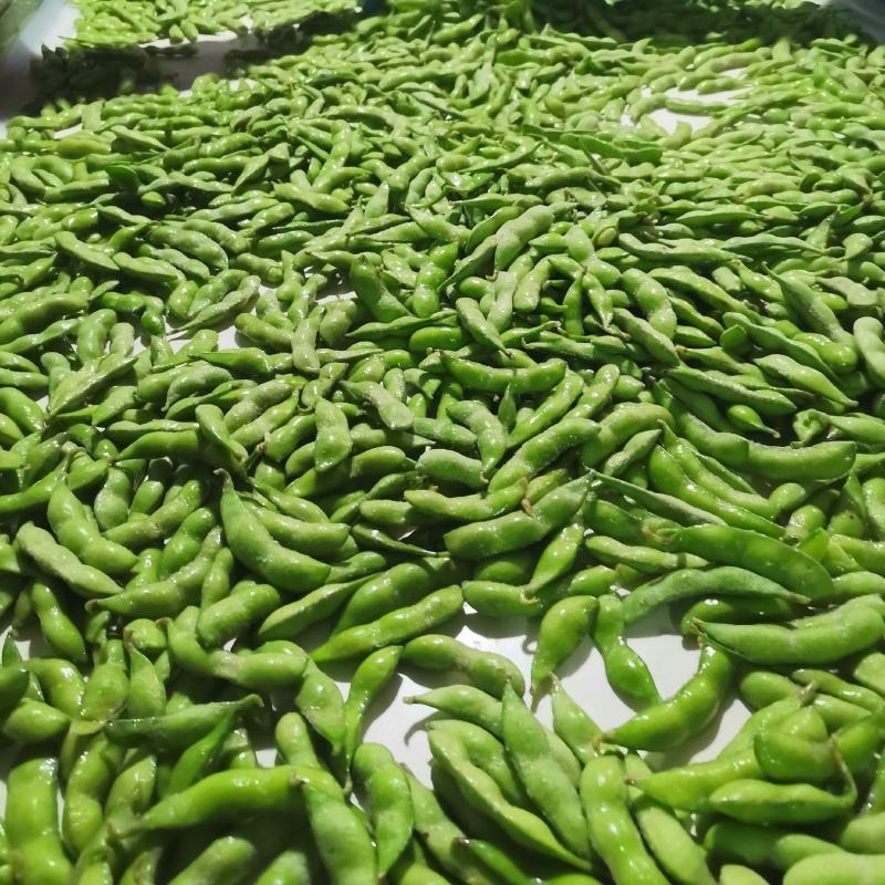 精品速冻豆荚