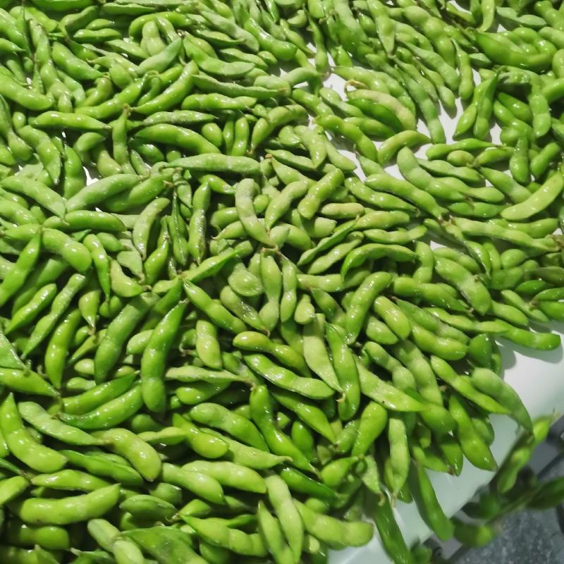 精品速冻豆荚