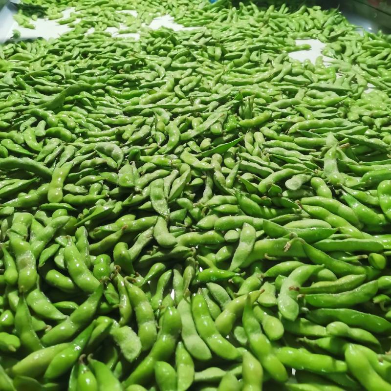 精品速冻豆荚