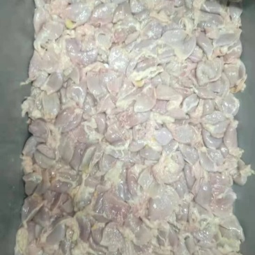 食品级鸡腺胃（鸡小肚，箱装刨开洗净）