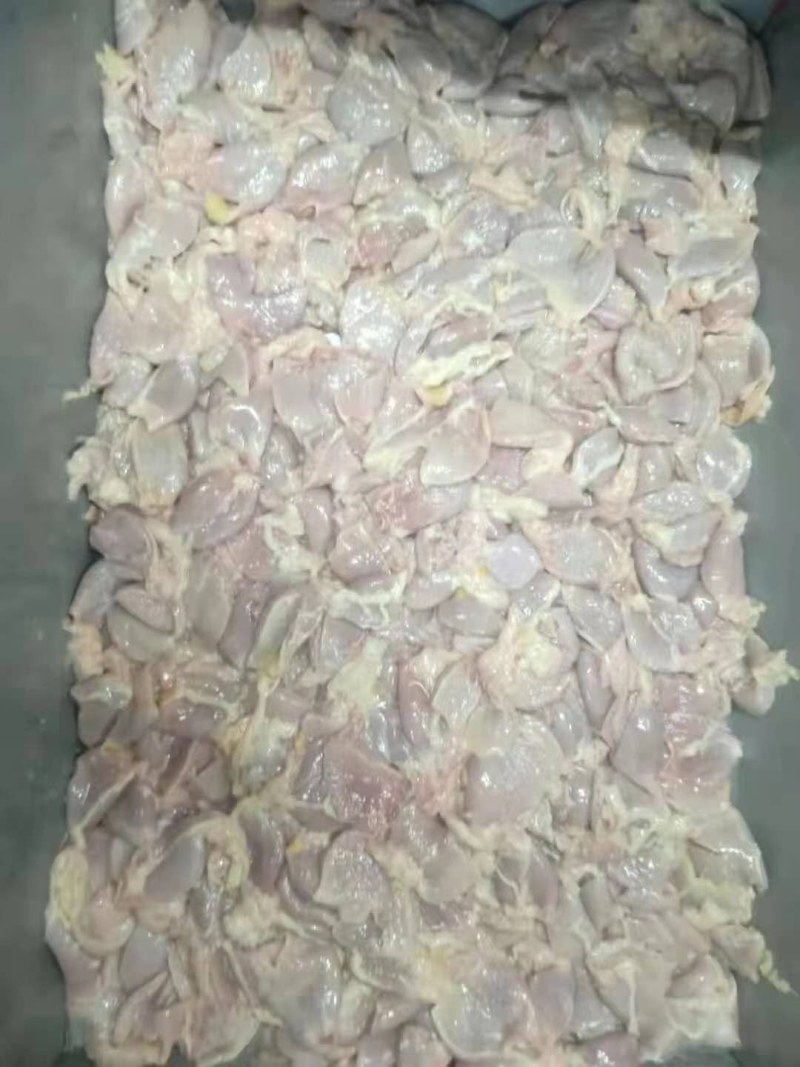 食品级鸡腺胃（鸡小肚，箱装刨开洗净）
