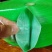 江苏喷灌带滨海雾化微喷N45--N100多种规格
