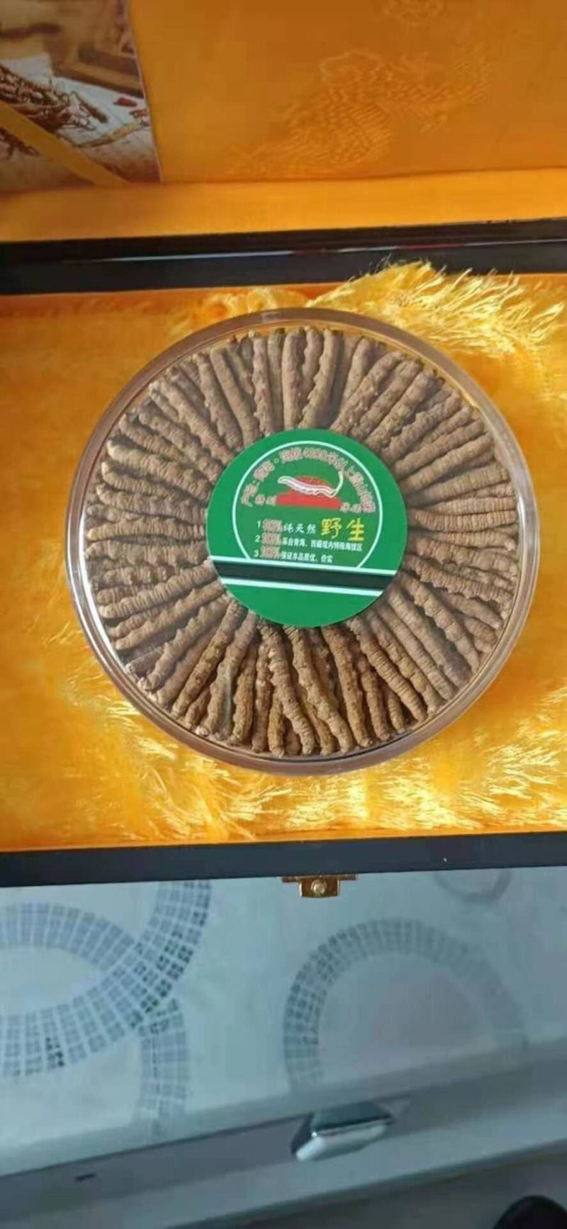 2021年新鲜冬虫夏草