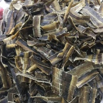 药材地龙货品质量保证批发各种中药材