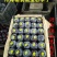现货河南南阳黑宝石黑总统黑琥珀大量上市代收代