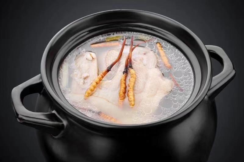 冬虫夏草