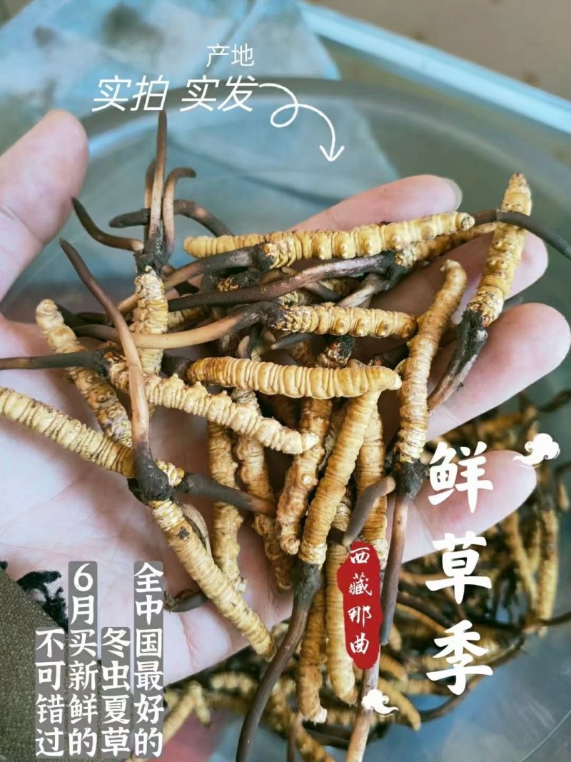 为健康投资，为生活买单。