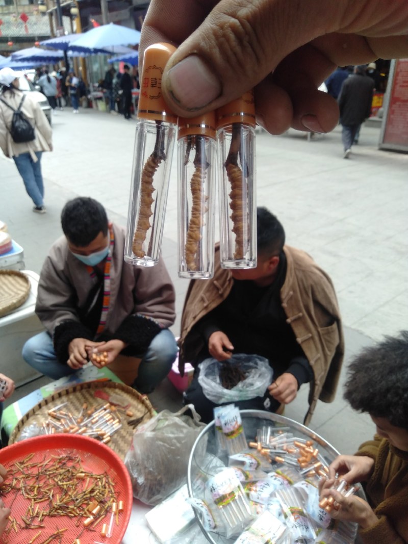 有需要的不要犹豫观望了