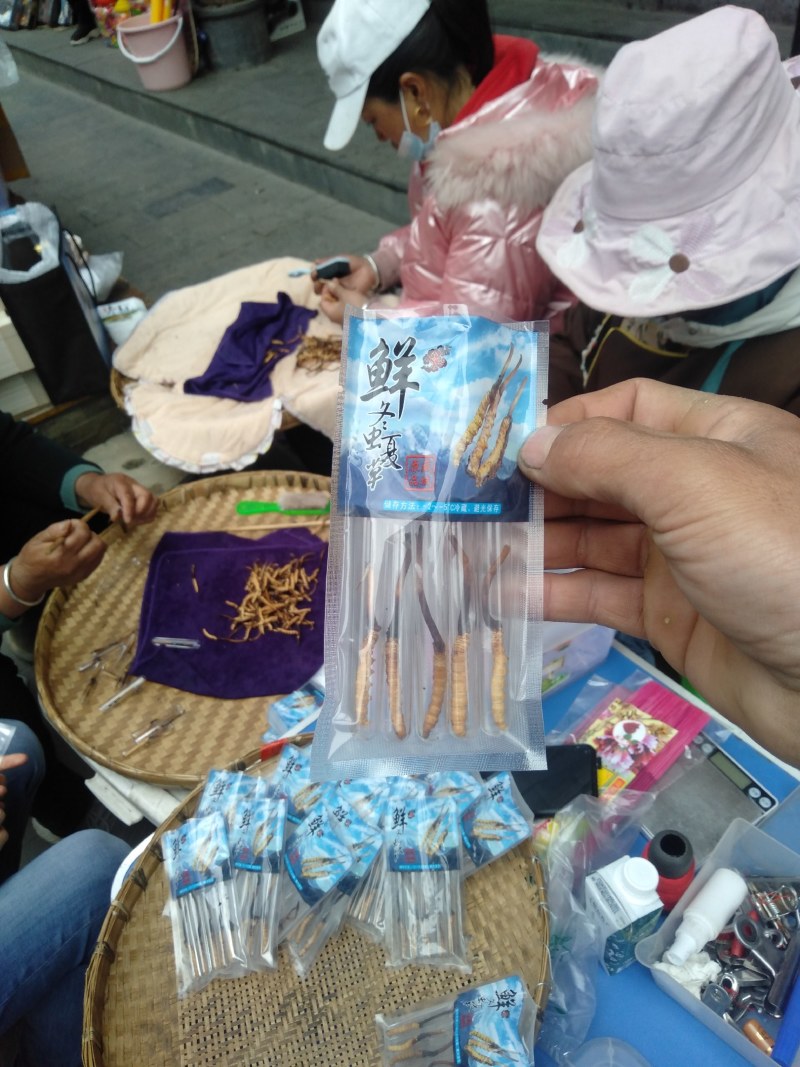 有需要的不要犹豫观望了