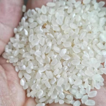 25年粳稻嘉花，优粳，出米70-71，口感**，米饭香甜