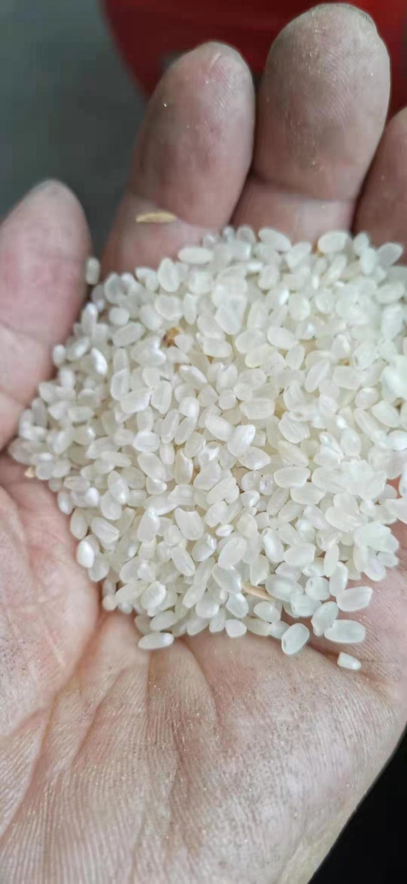 25年粳稻嘉花，优粳，出米70-71，口感**，米饭香甜