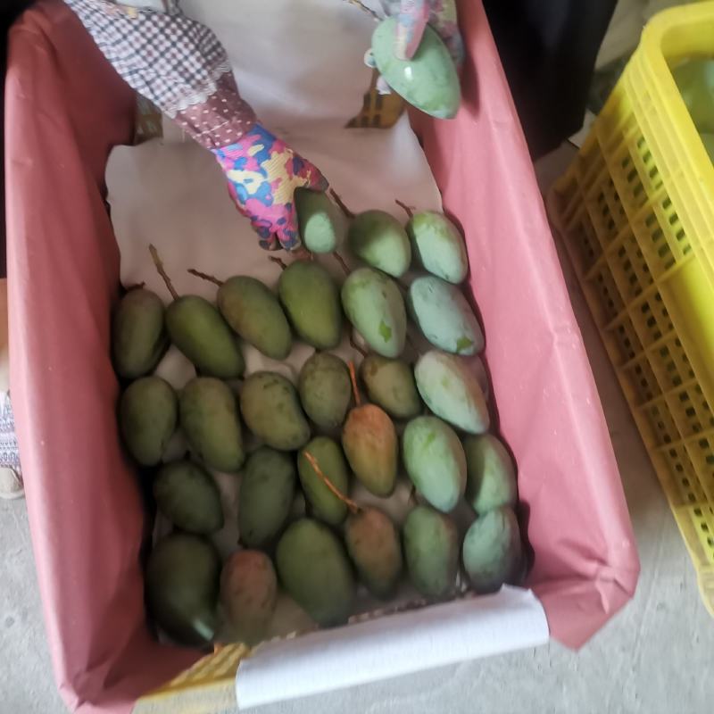 百色金煌芒电商平台团购平台整车发货一件代发电话联系